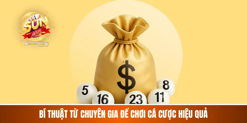 Bí thuật từ chuyên gia để chơi cá cược hiệu quả