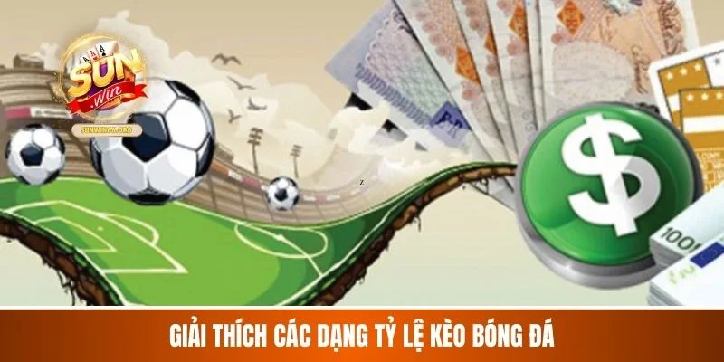 Giải thích các dạng tỷ lệ kèo bóng đá