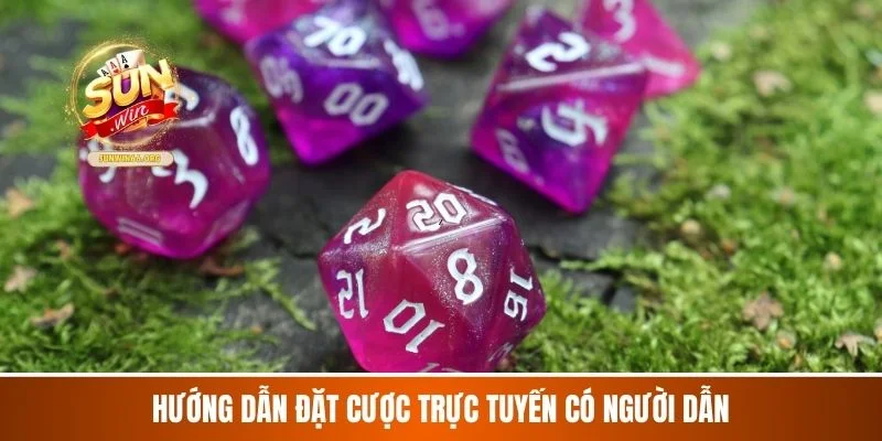 Hướng dẫn đặt cược trực tuyến có người dẫn