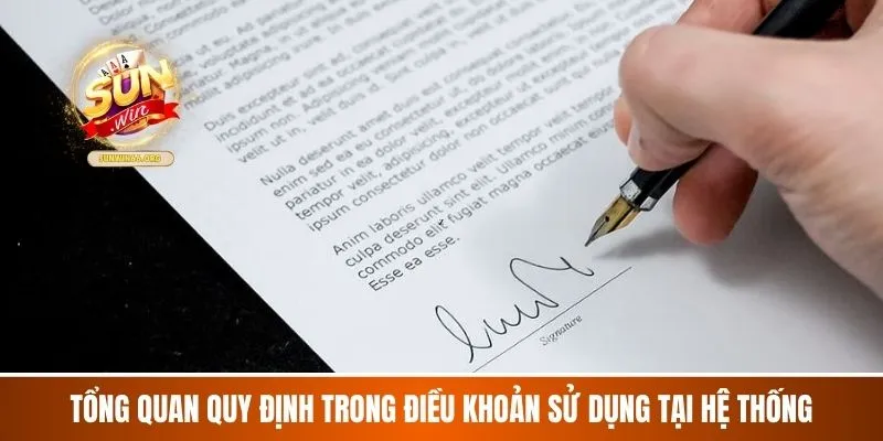 Tổng quan quy định trong Điều khoản sử dụng tại hệ thống